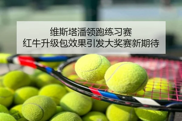 维斯塔潘领跑练习赛 红牛升级包效果引发大奖赛新期待