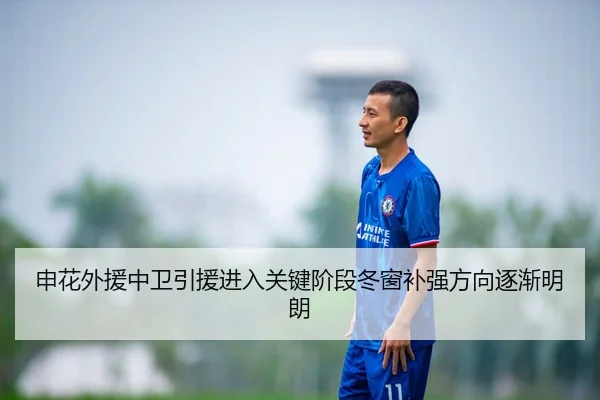 申花外援中卫引援进入关键阶段冬窗补强方向逐渐明朗