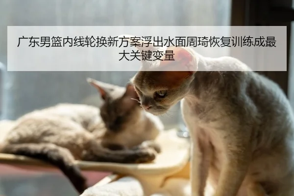 广东男篮内线轮换新方案浮出水面周琦恢复训练成最大关键变量