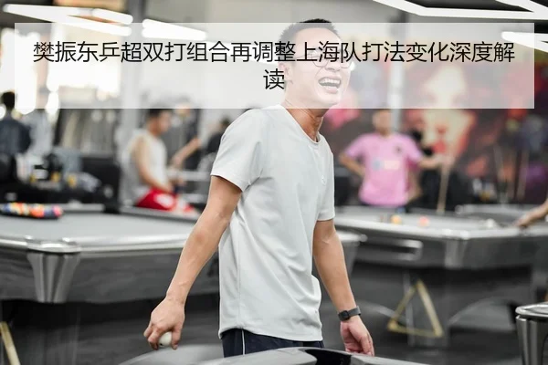 樊振东乒超双打组合再调整上海队打法变化深度解读